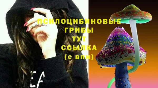 гашик Белокуриха