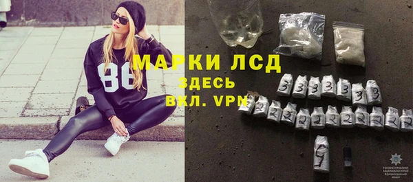 гашик Белокуриха