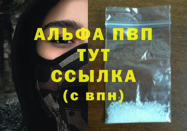 гашик Белокуриха