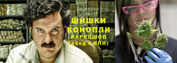 гашик Белокуриха